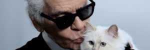 Poes Karl Lagerfeld