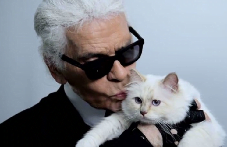 Poes Karl Lagerfeld