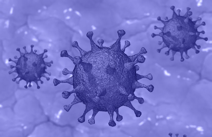 coronavirus